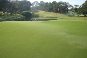 Par3 of the the golf course of the Sao Paulo golf club.