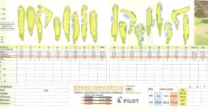 Scorecard of the Guarapirango Golf Country Club.