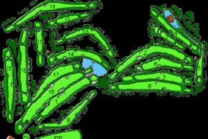 Layout of the course of the Iguassu Falls Wish Ressort golf club.