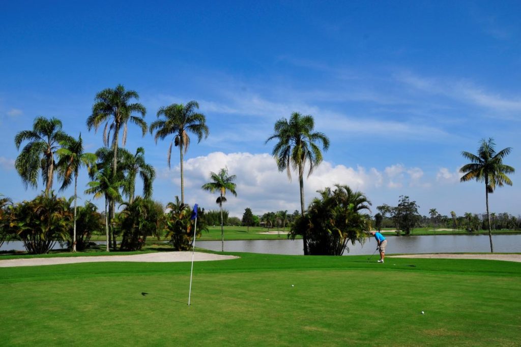 Palms of the golf course of the Paradise Lake Resort Golf Club in Mogi das Cruzes.