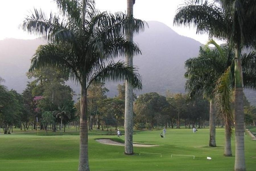 Palms at the course of the Itanhanga golf club in Rio de Janeiro.