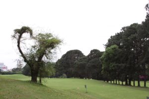 Fairway of the golf course of the Sao Francisco golf club.